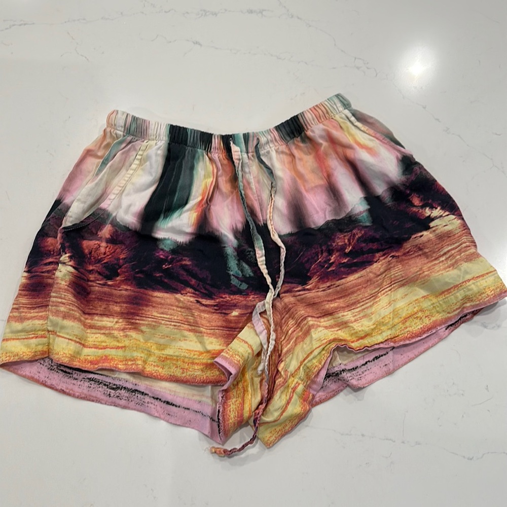 Koch horizon shorts - M
